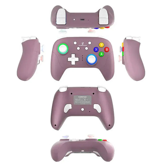 ToRetro- Anbernic RG P01 Controller Wireless Game Controller- Purple-RG-P01-Receiver