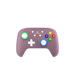 Anbernic RG P01 Controller Wireless Game Controller