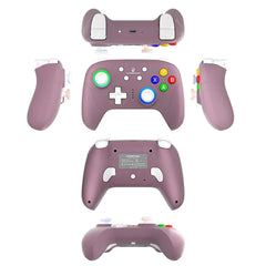 Anbernic RG P01 Controller Wireless Game Controller